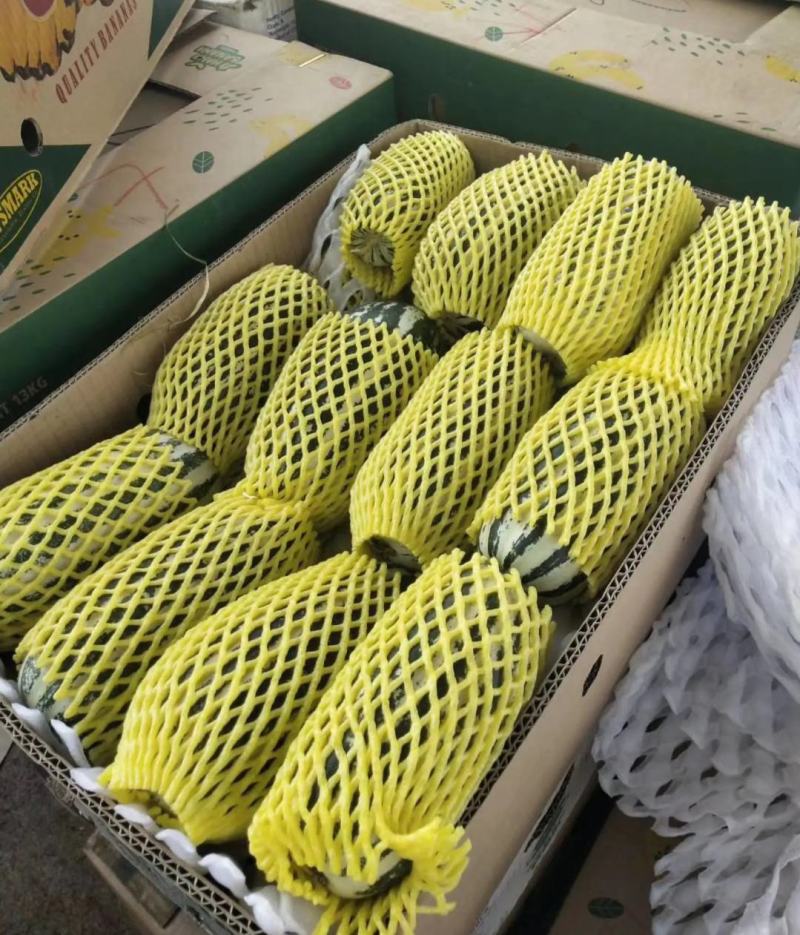 绿宝甜瓜0.5以上产地直销支持视频看货