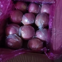 富士苹果七五以上莫代，箱装套网分屋分格
