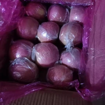 富士苹果七五以上莫代，箱装套网分屋分格