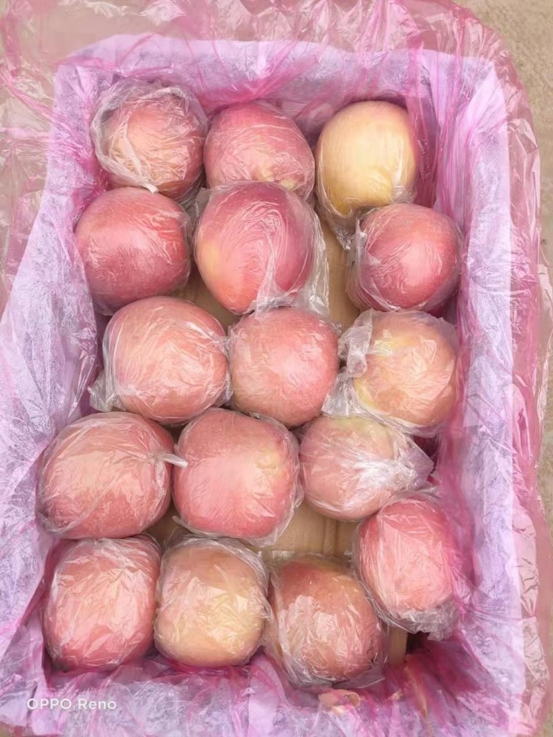 富士苹果七五以上莫代，箱装套网分屋分格