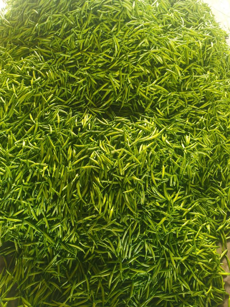黄花菜3月初大量上市，欢迎预定新鲜黄花菜货好农家自产自销