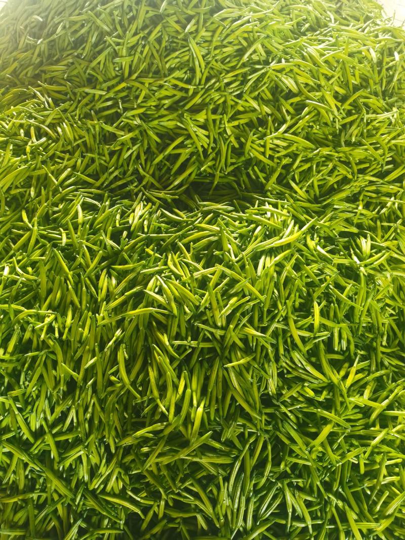 黄花菜3月初大量上市，欢迎预定新鲜黄花菜货好农家自产自销