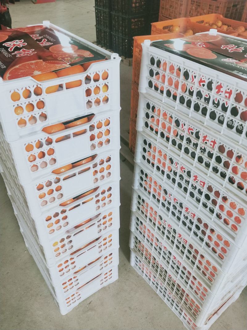 产地直发，广西武鸣沃柑