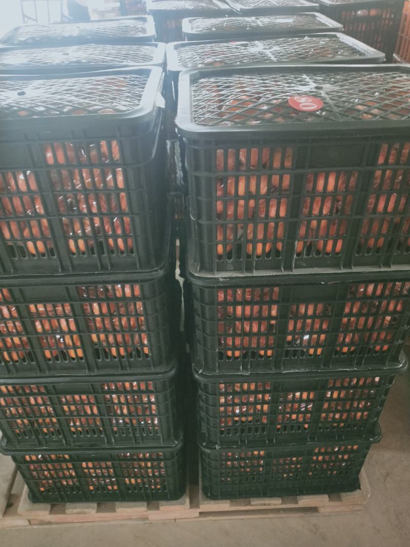 产地直发，广西武鸣沃柑