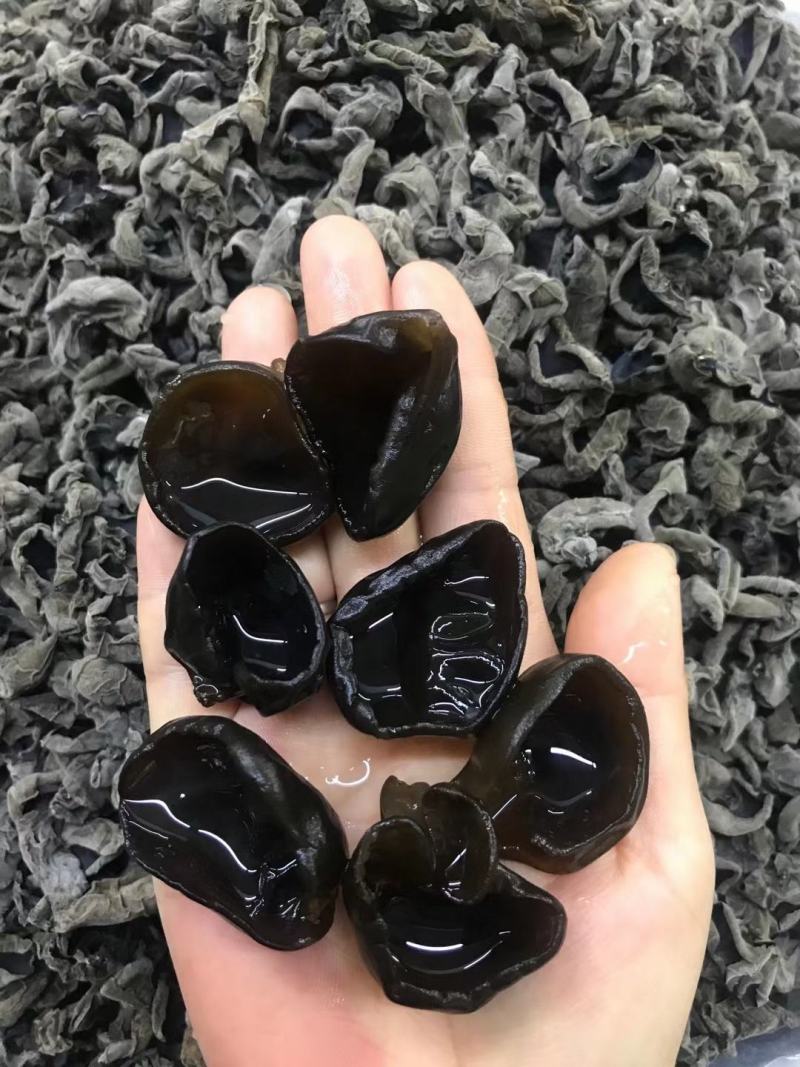 【优选】木耳电商专用泡发1比12--15斤酥干园边不打水