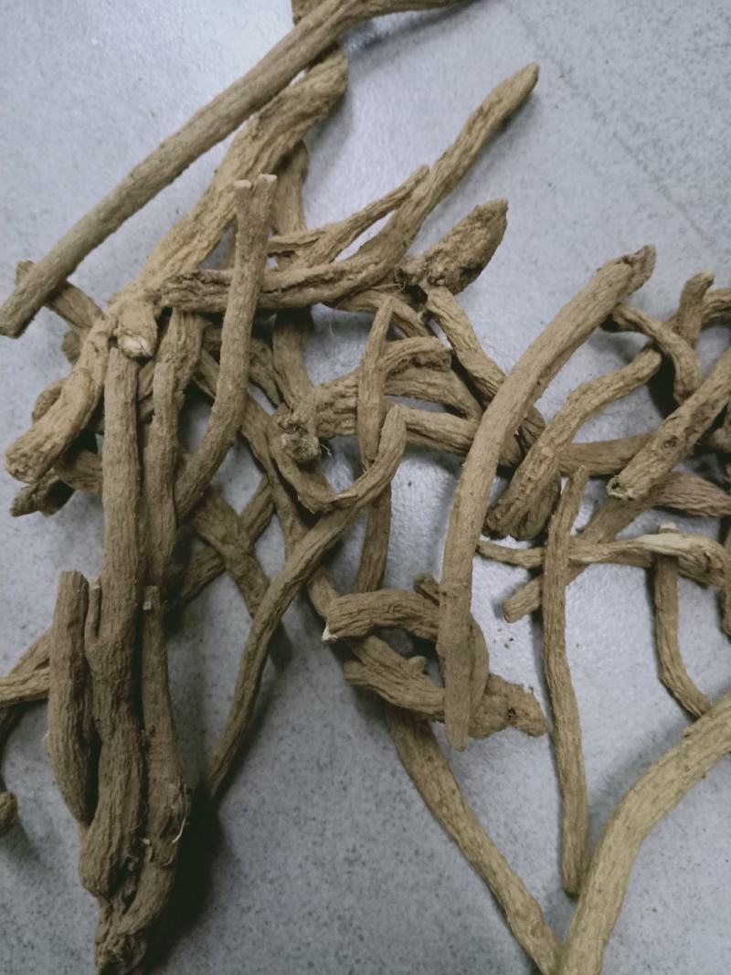 紫金龙，中药材紫金龙正品保证，经营各种中药材欢迎咨询合作