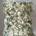 河北槐花洋槐花，现摘现发，真空包装，多种规格发货