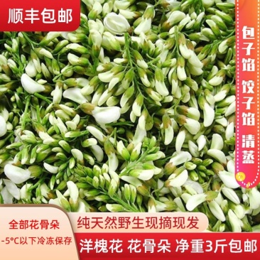 河北槐花洋槐花，现摘现发，真空包装，多种规格发货