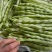 山东芸豆大量上市货源充足保质保量支持全国发货