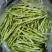 山东芸豆大量上市货源充足保质保量支持全国发货