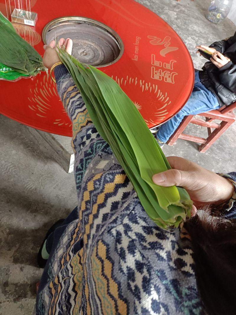 洞庭湖边的香粽叶，又宽又长。