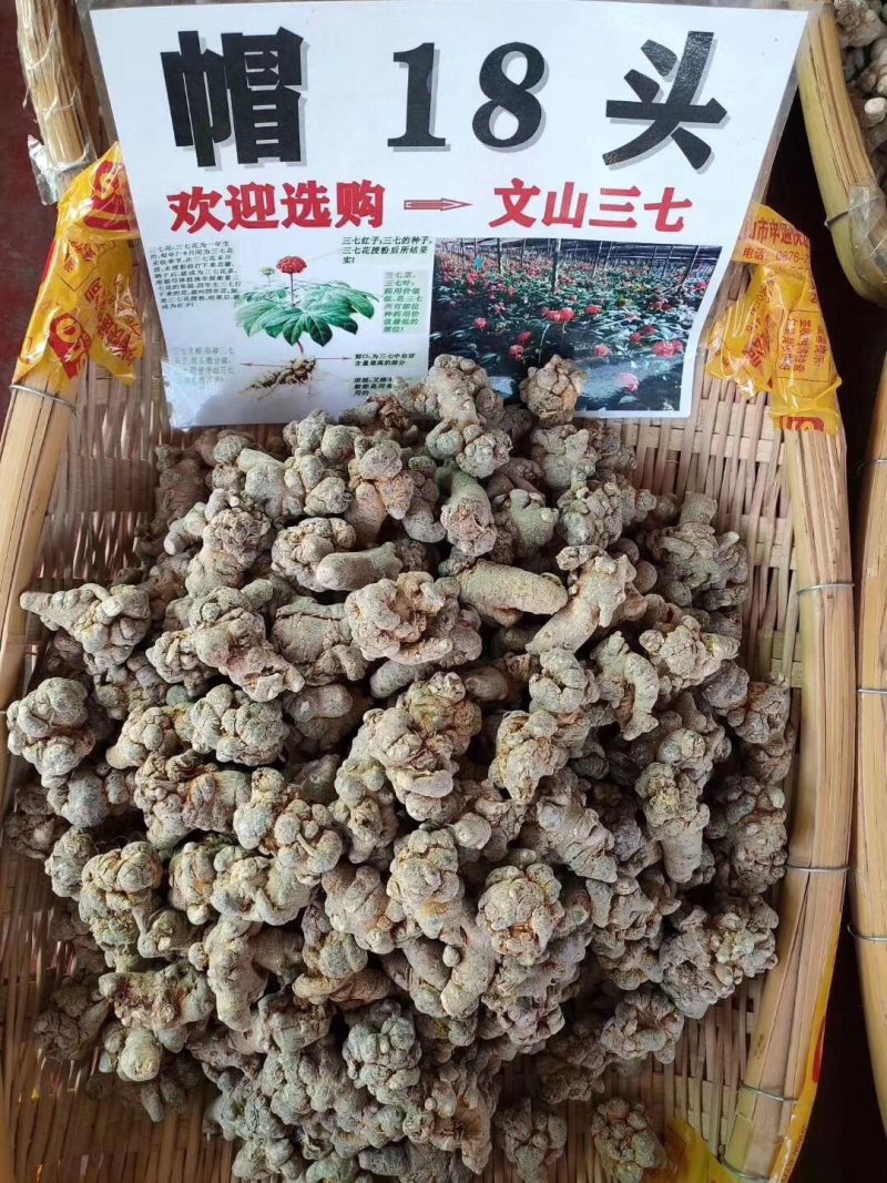 正宗云南文山三七田七