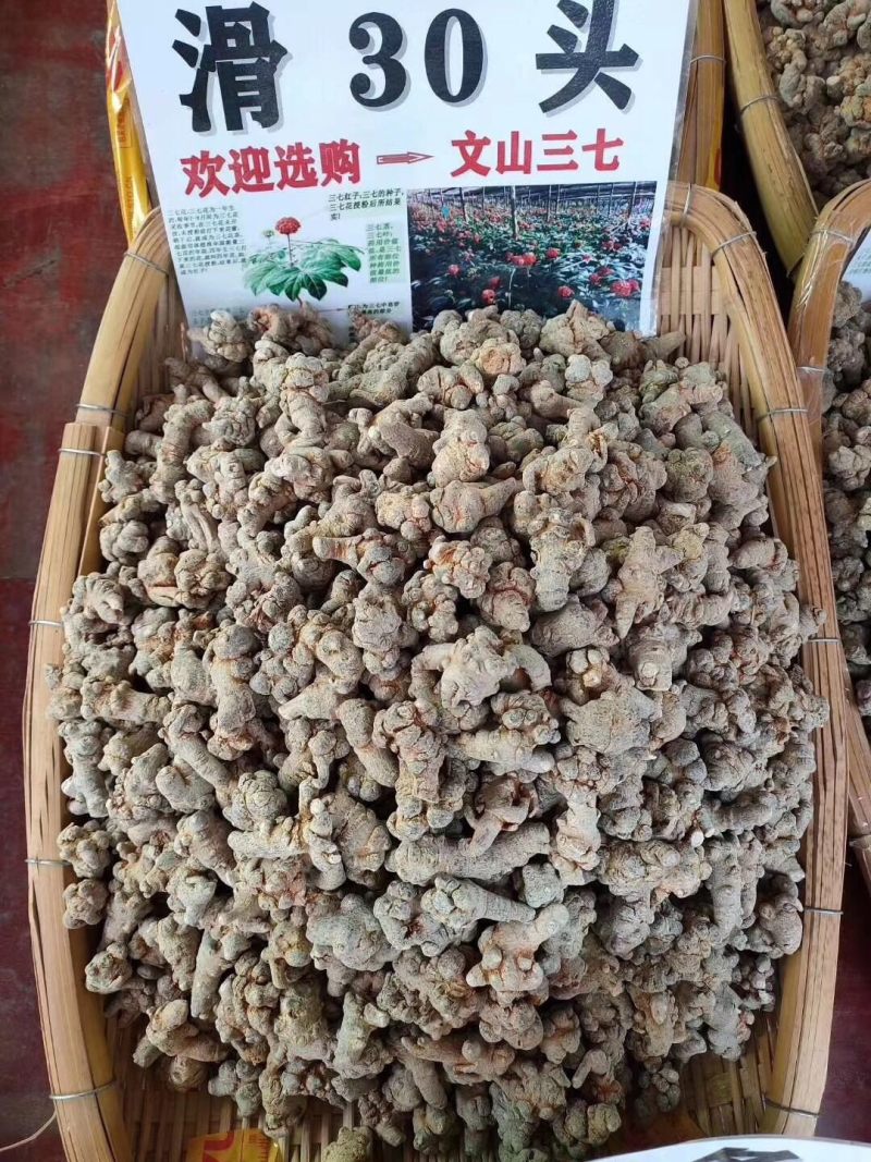 正宗云南文山三七田七