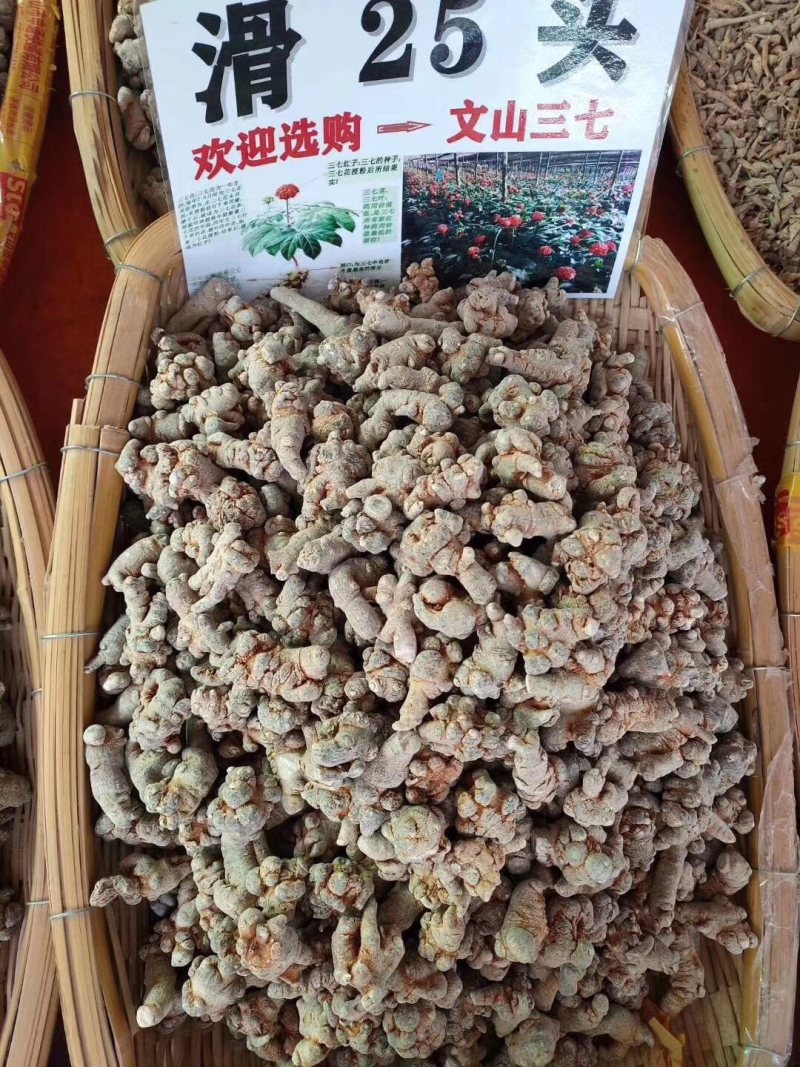 正宗云南文山三七田七