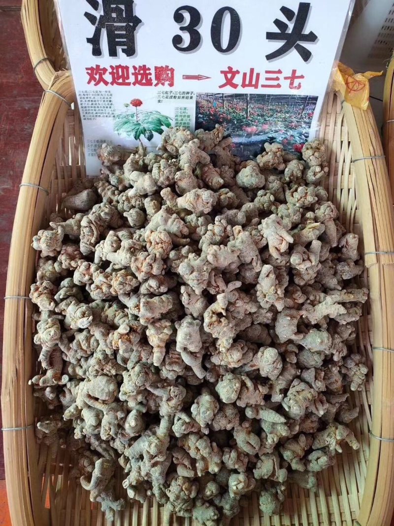 正宗云南文山三七田七