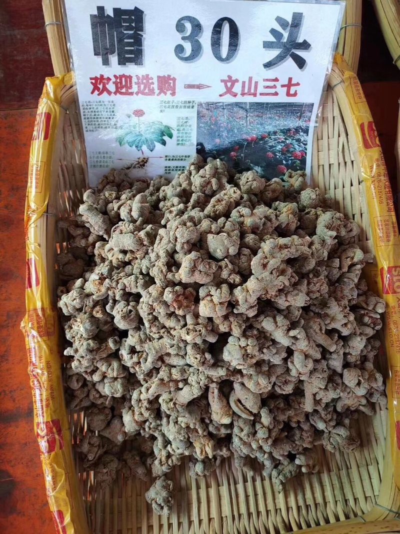 正宗云南文山三七田七