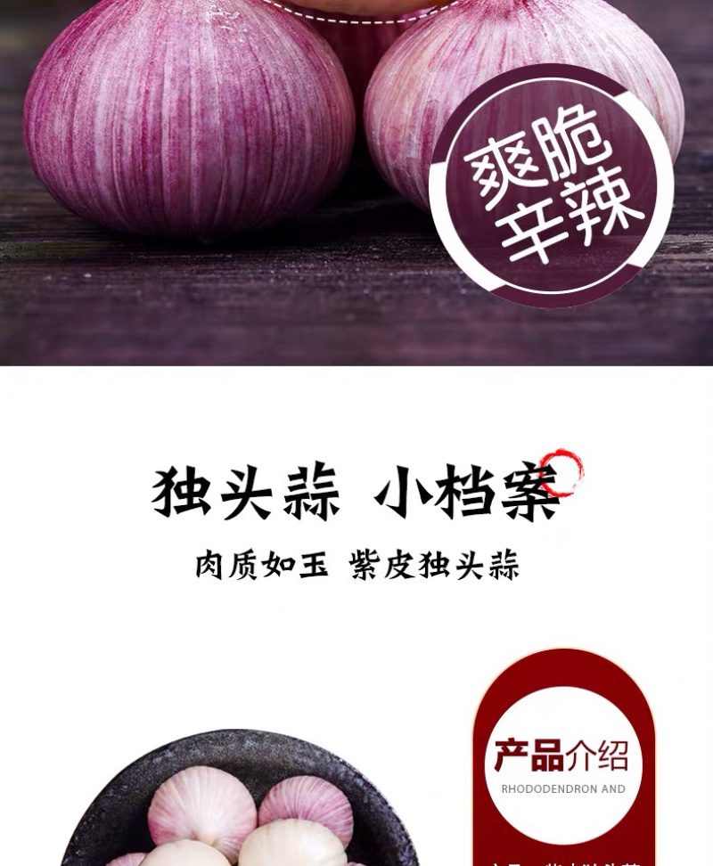 独头蒜一件代发整车批发常年代发电商专供农贸批发