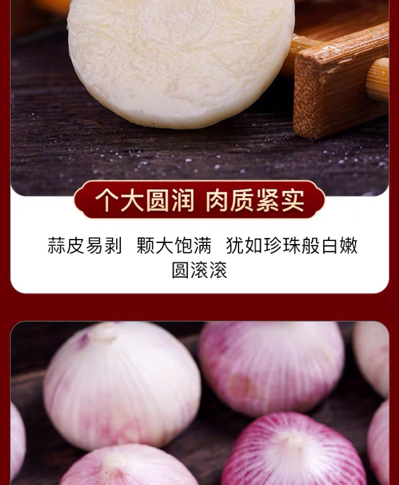 独头蒜一件代发整车批发常年代发电商专供农贸批发