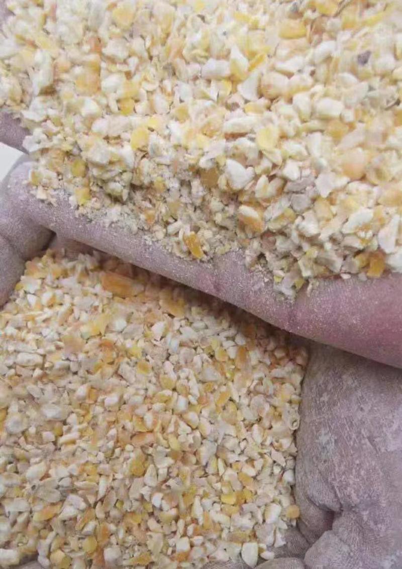 常年大量，供应，碎玉米碎小麦下脚料适合各种鸡鸭牛羊鹅养殖