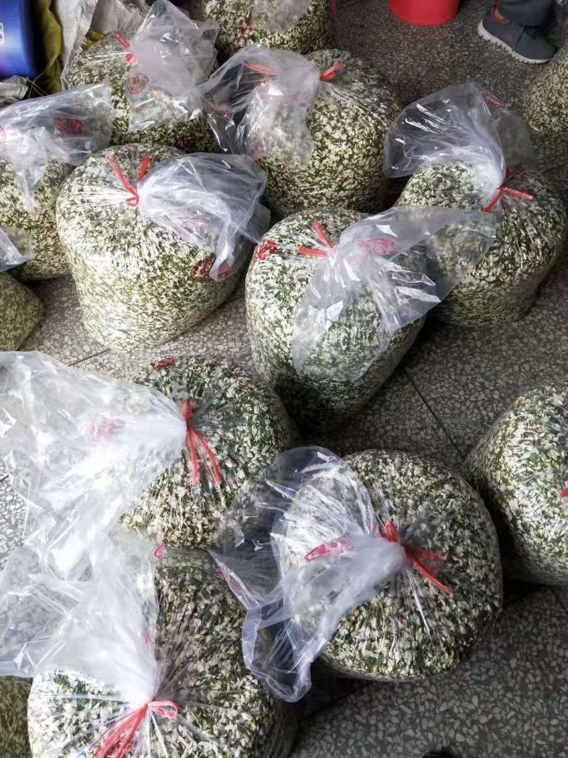 山野菜，槐花，洋槐花，接受预订