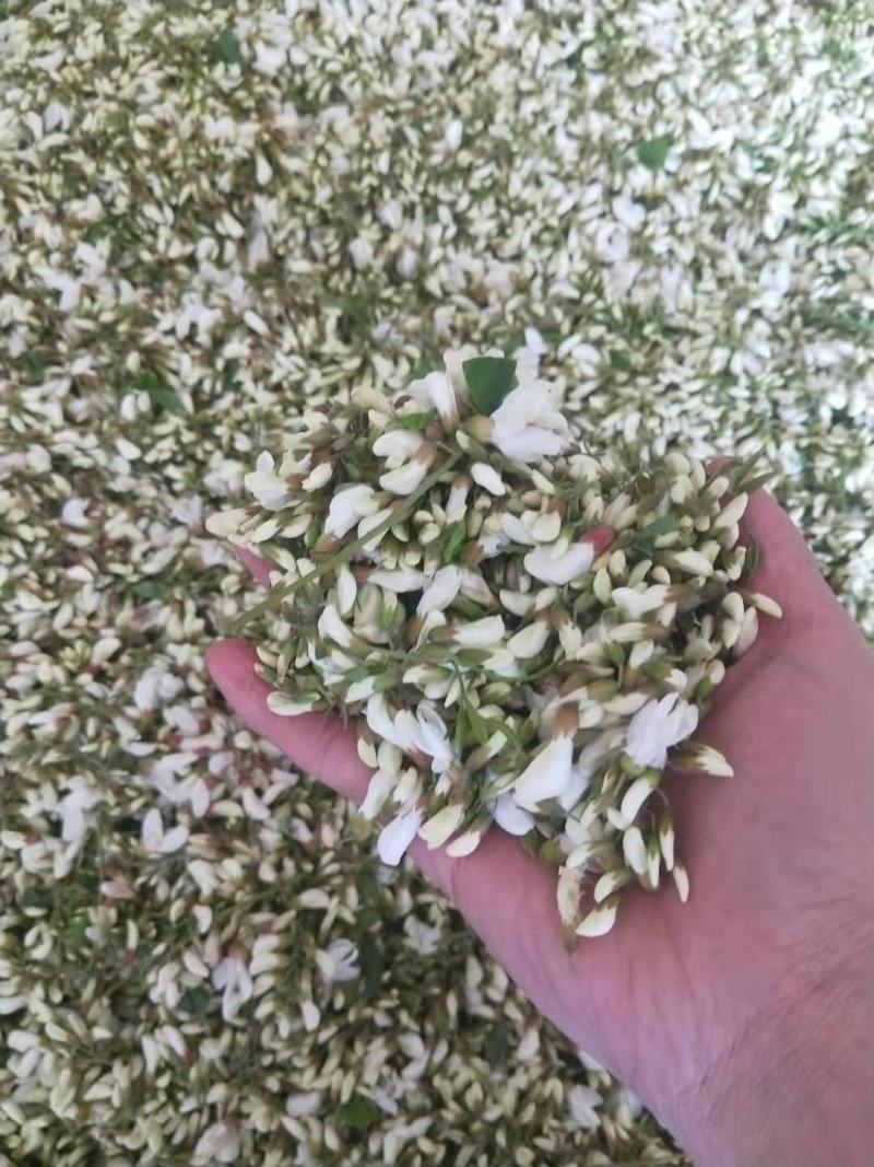 山野菜，槐花，洋槐花，接受预订
