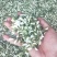 山野菜，槐花，洋槐花，接受预订