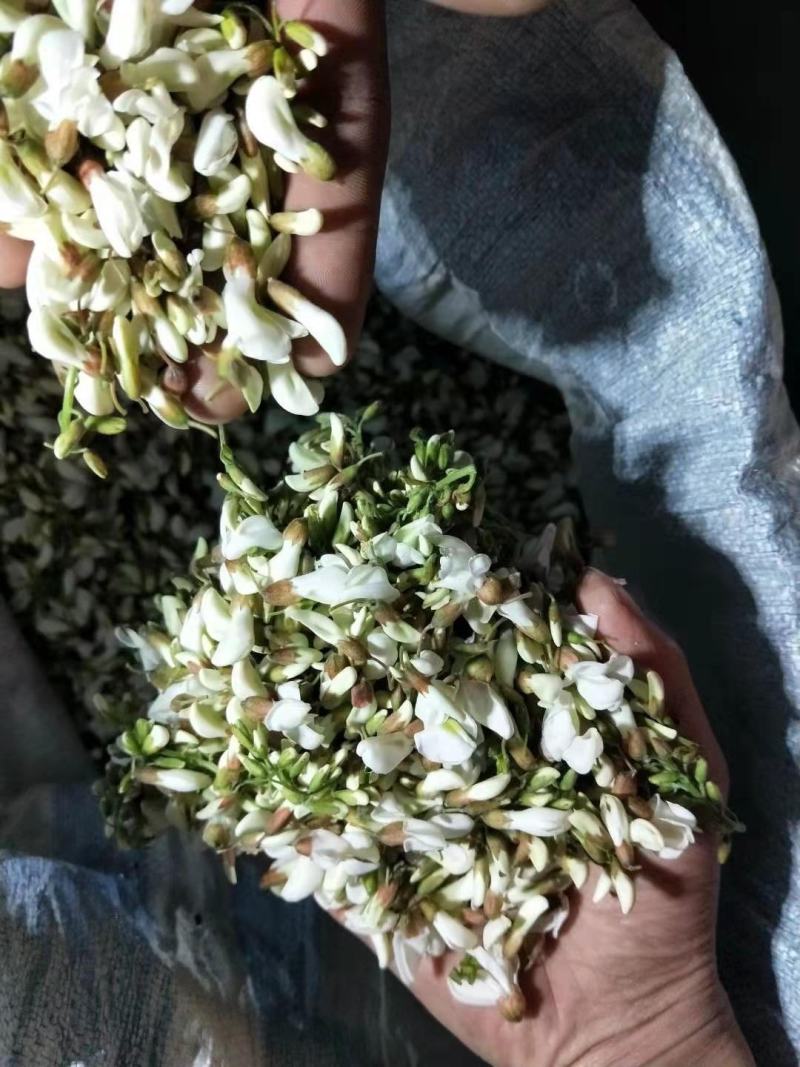 山野菜，槐花，洋槐花，接受预订