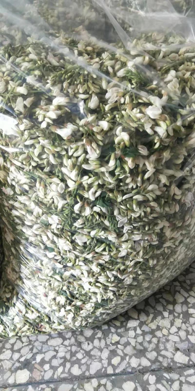 山野菜，槐花，洋槐花，接受预订