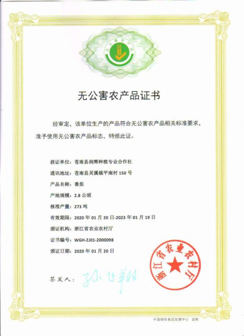 大量批发大红，粉红西红柿