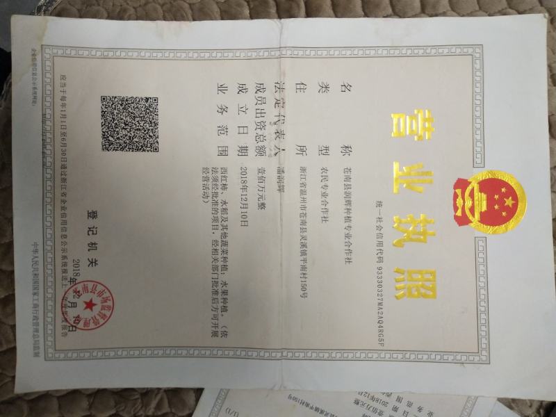 大量批发大红，粉红西红柿