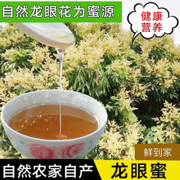 【精选】蜂蜜高州龙眼蜜、无添加、一件代发