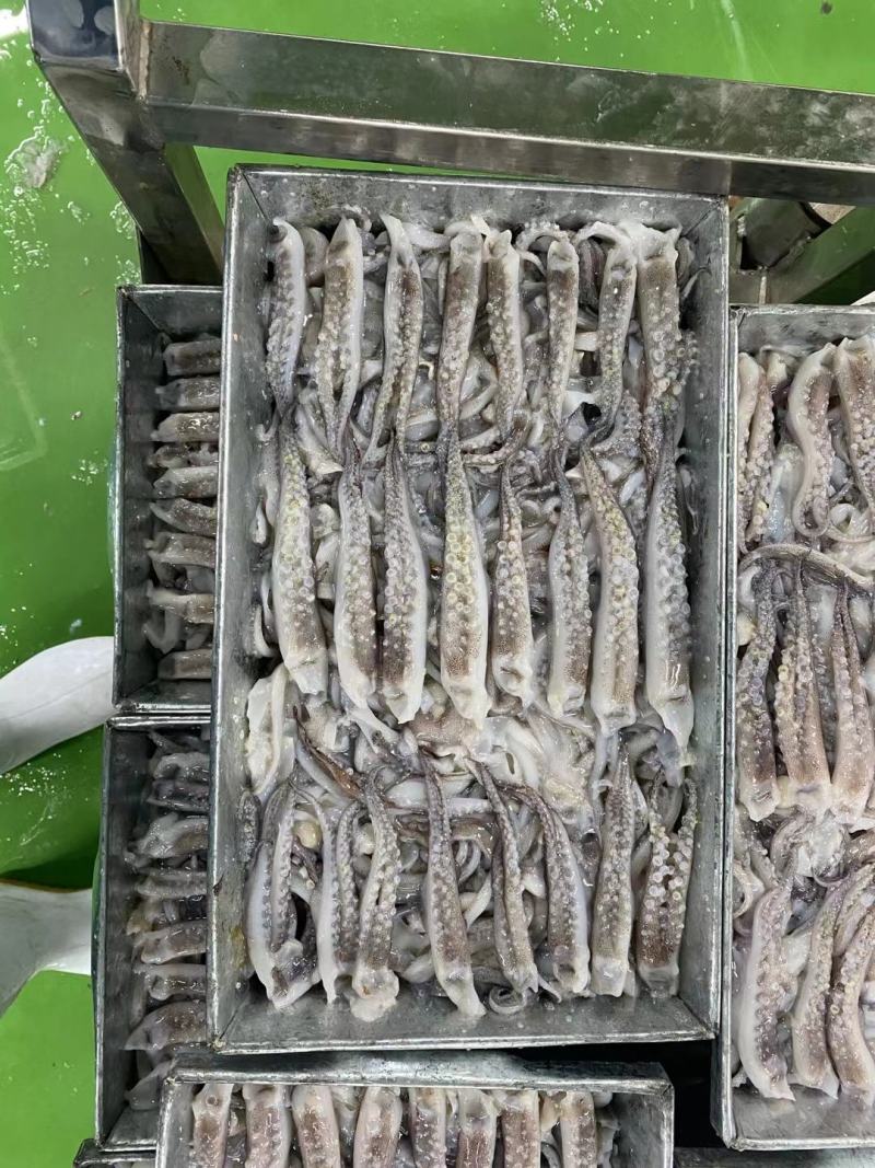 鱿鱼产品，价格低，可贴牌