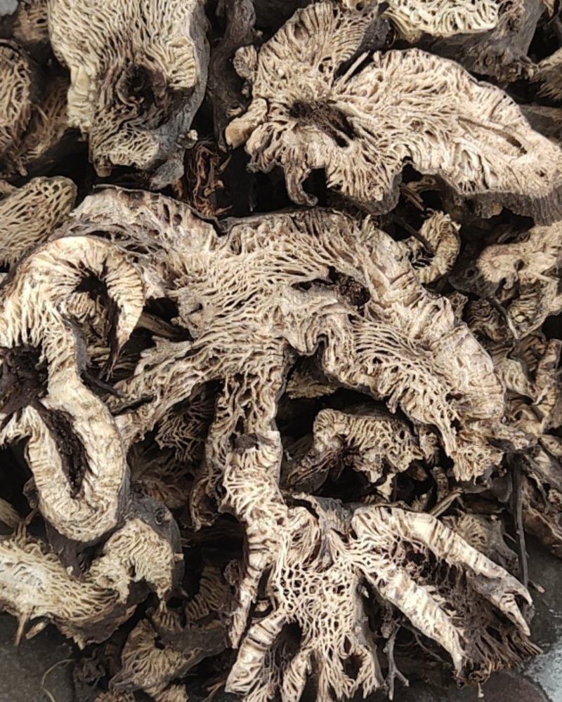 升麻东北货水洗新货无硫地道药材1000g起批