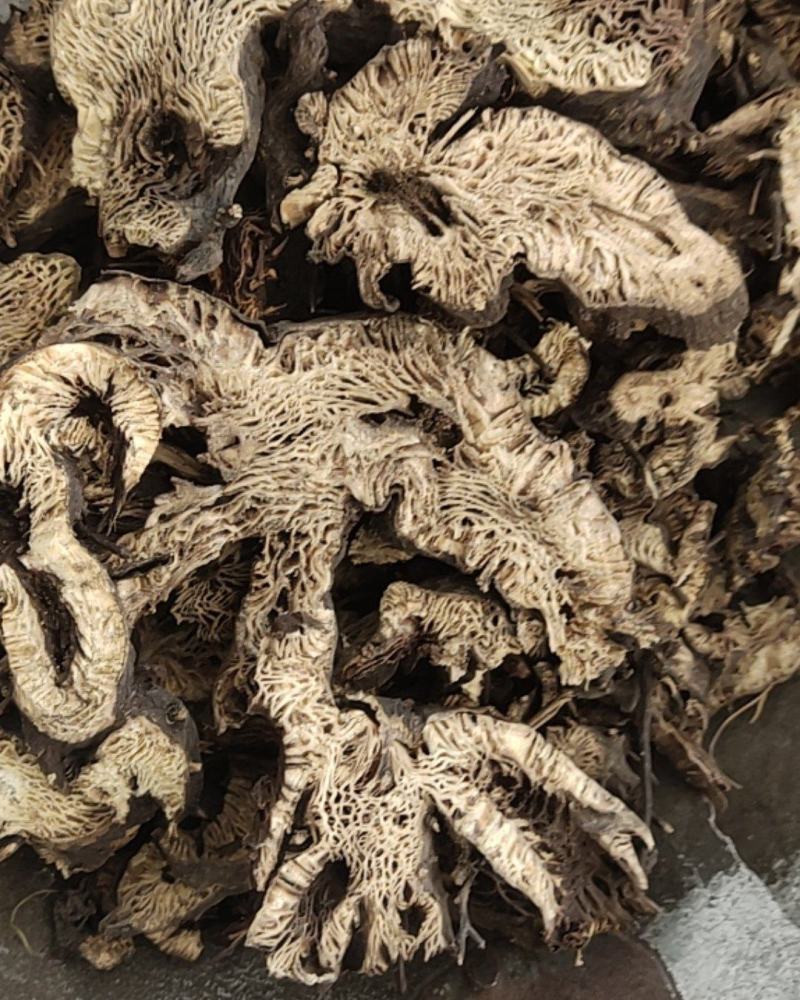 升麻东北货水洗新货无硫地道药材1000g起批