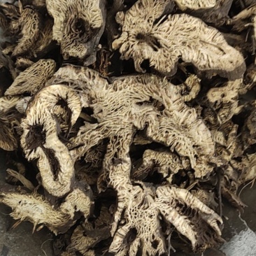 升麻东北货水洗新货无硫地道药材1000g起批