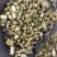 槲寄生小选新货，关书药材桟批发中药材规格齐全质量