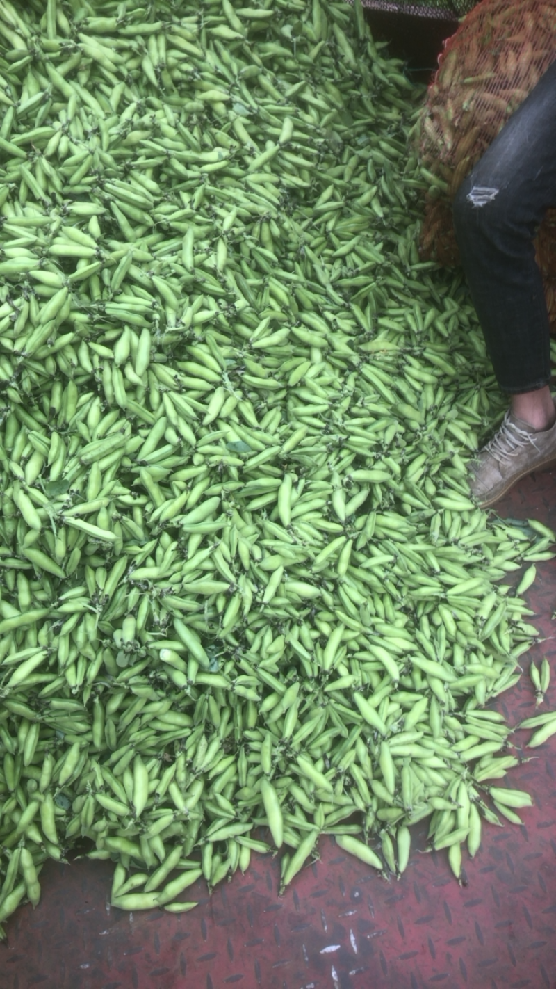 豆子刚好合适不老不嫩价格适中
