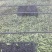 豆子刚好合适不老不嫩价格适中