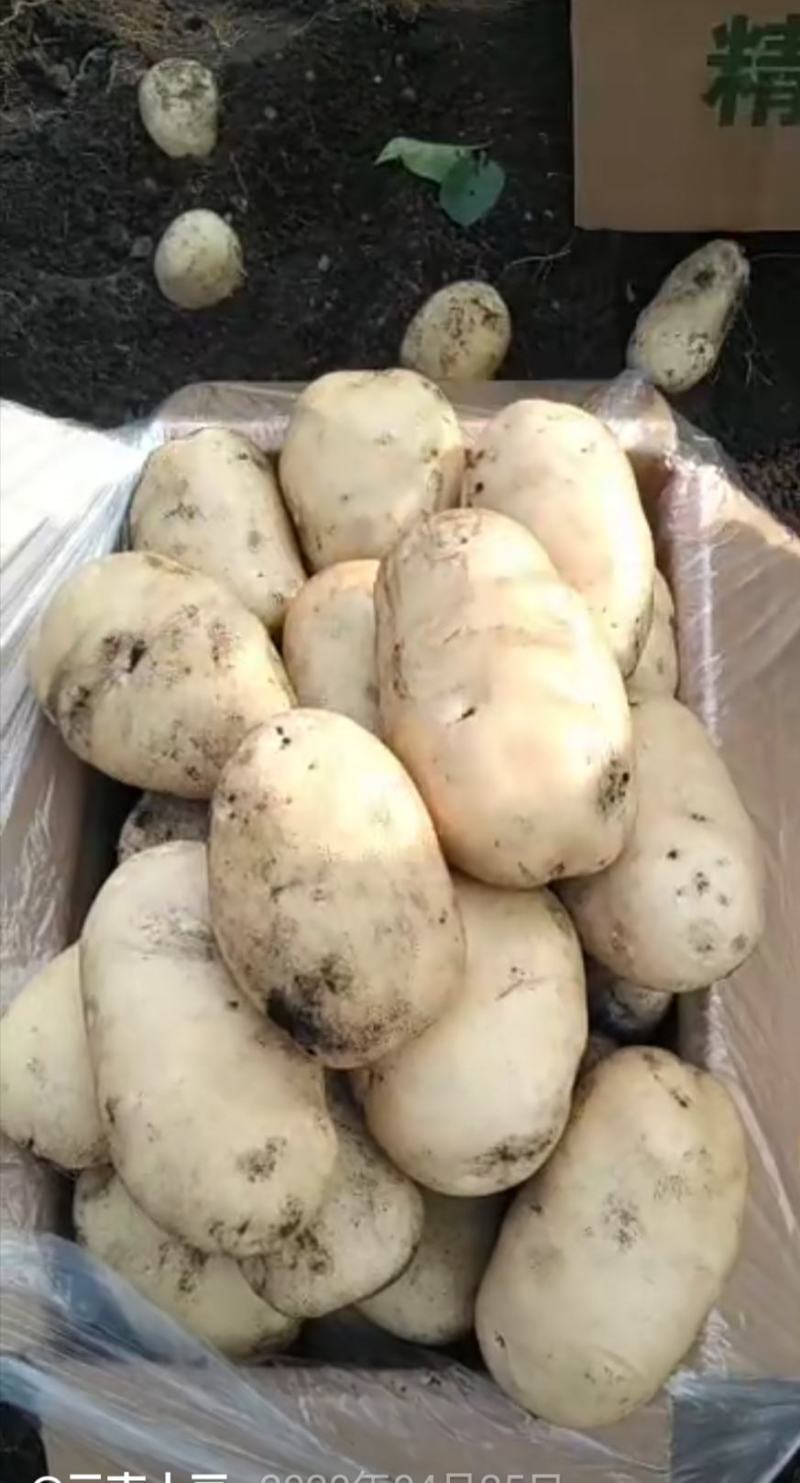 土豆供应商的时候，，，，