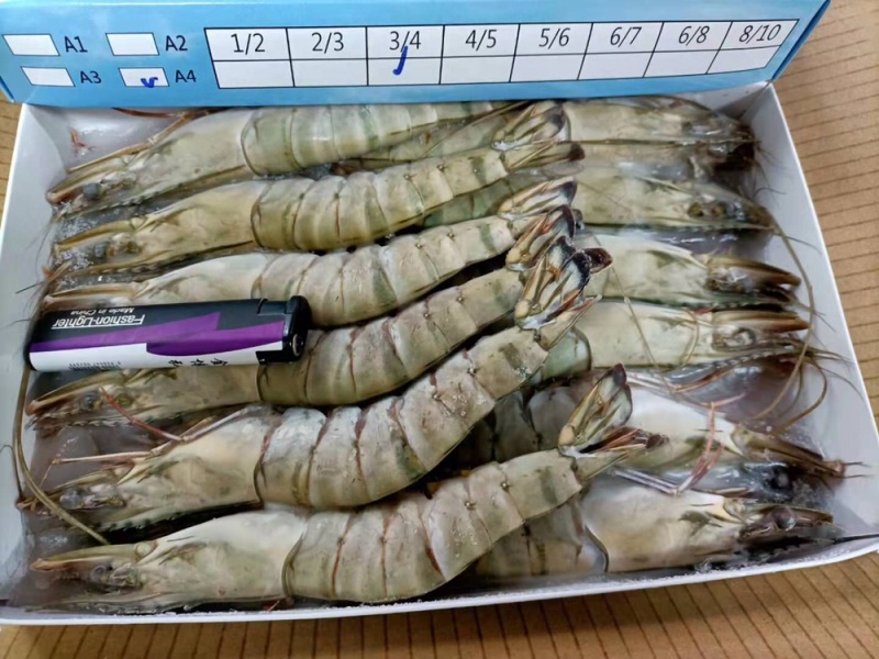 一手货源黑虎虾批发，物美价廉，虾肉饱满