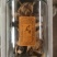 15年新会老陈皮广东老陈皮一罐250克大量批发