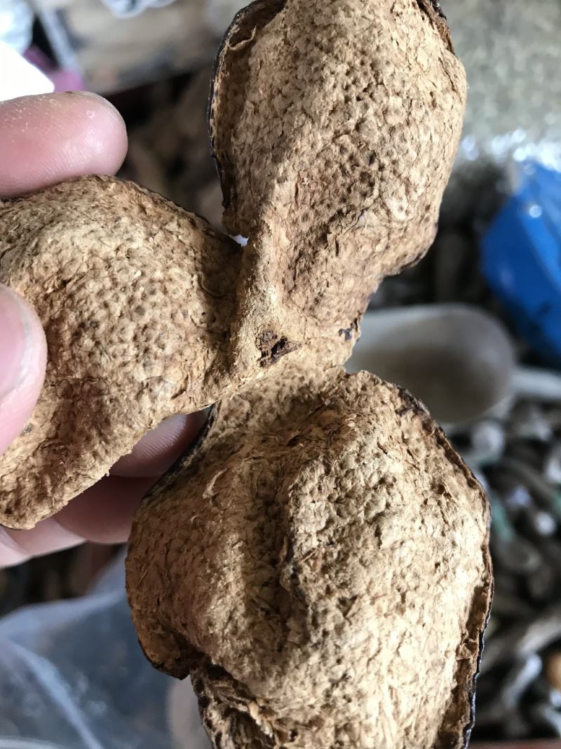 15年新会老陈皮广东老陈皮一罐250克大量批发