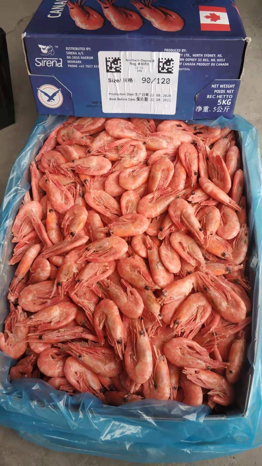 [北极虾批发]北极甜虾一手货源,质量稳定价格120.00元/件 - 一亩田