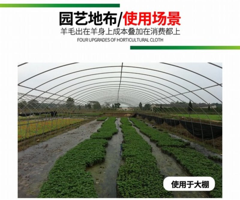 各种规格编织袋编织布防汛专用袋子防草布可加工定制