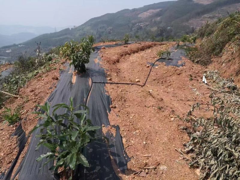 各种规格编织袋编织布防汛专用袋子防草布可加工定制