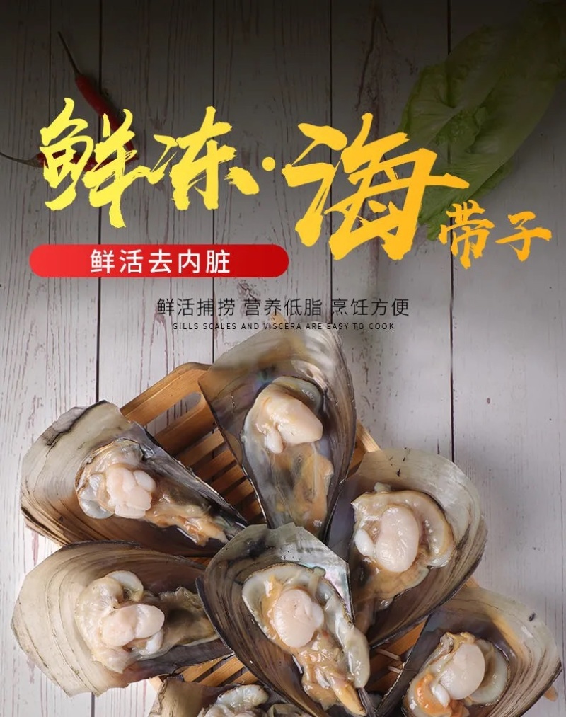 码头直供鲜活带子螺。绿甲绿贝。又名江瑶贝。