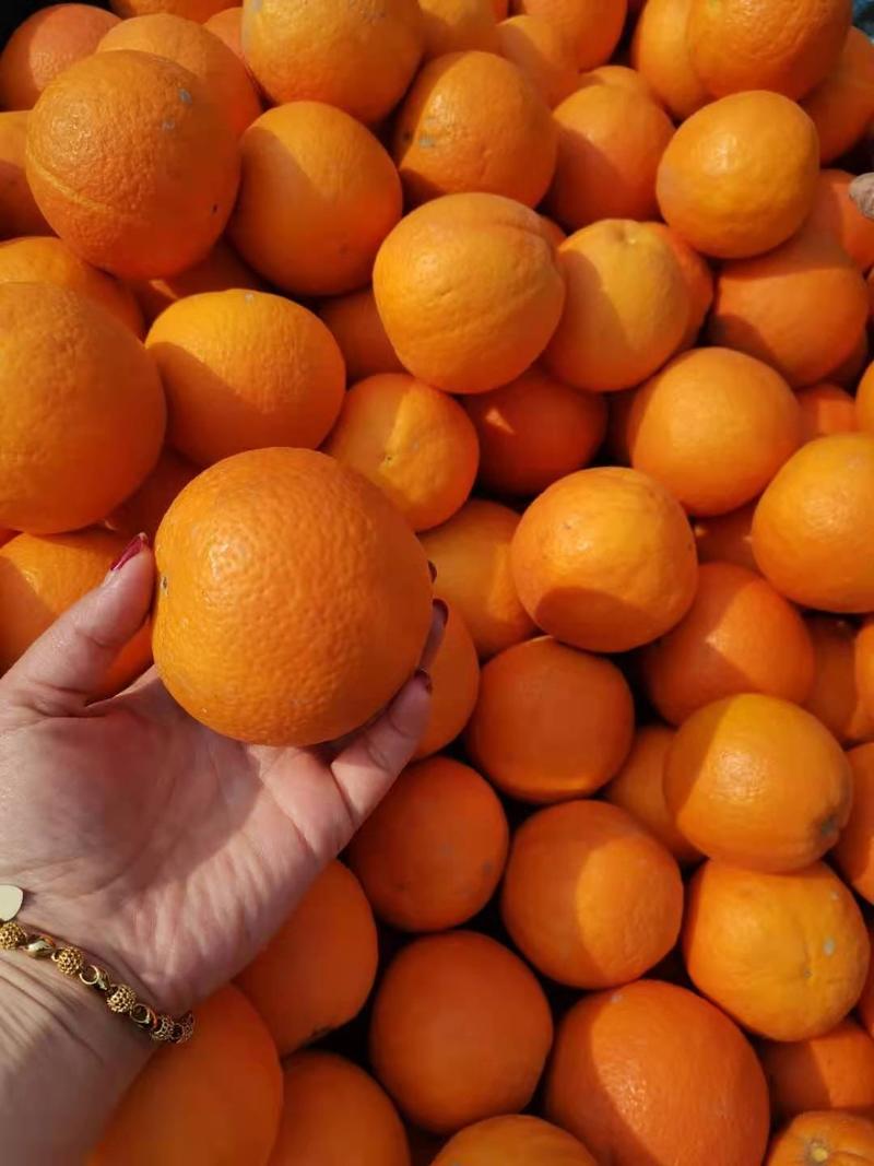 湖北夏橙酸甜可口，对接电商社团市场商超，农户一手货