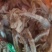 笋干，毛竹笋干毛笋干干笋淡笋干小竹笋干笋类制品，全国发货