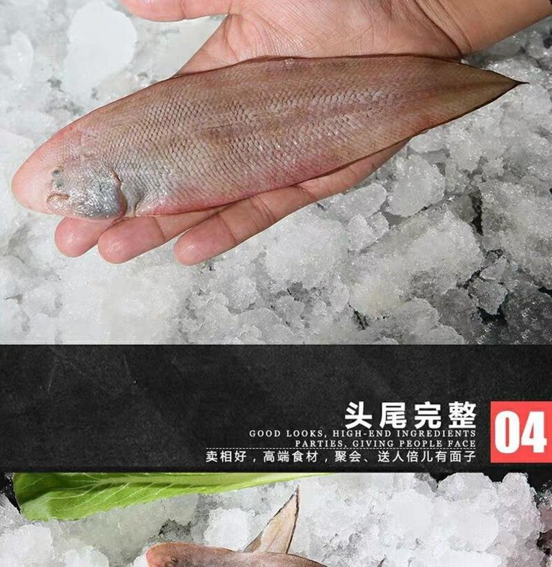 【连云港本地货】深海龙利鱼宝宝辅食新鲜舌头鱼踏板鱼海鲜