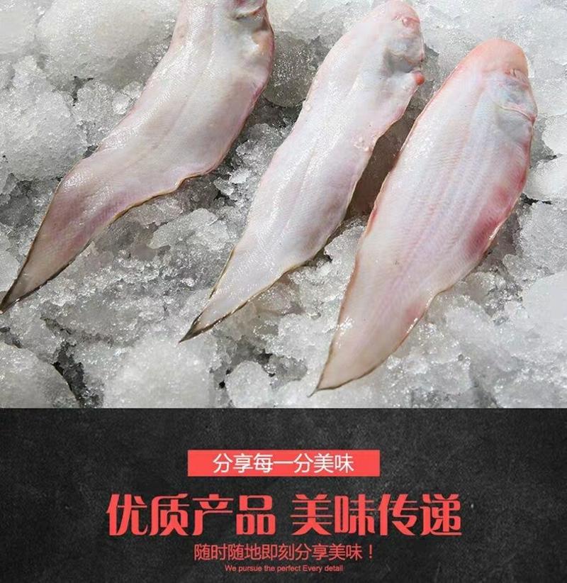 【连云港本地货】深海龙利鱼宝宝辅食新鲜舌头鱼踏板鱼海鲜